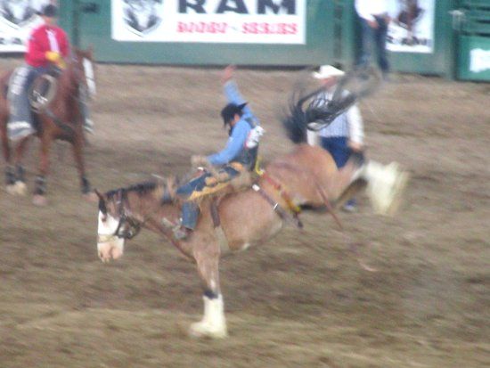 Reno Rodeo Association